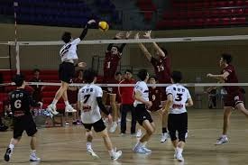 日本职棒特别企划：男女纠察队之日职大调查—软银篇｜日本职棒